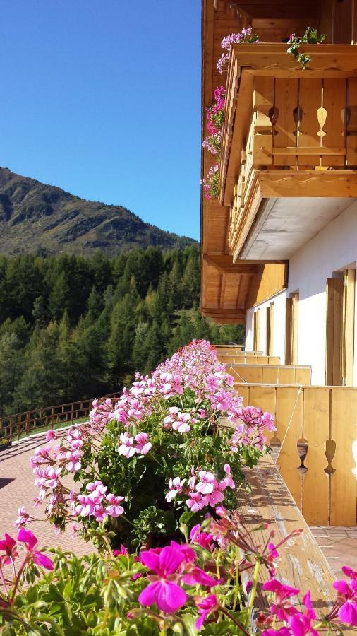 Belvedere Mountain Experience Otel Monno Dış mekan fotoğraf